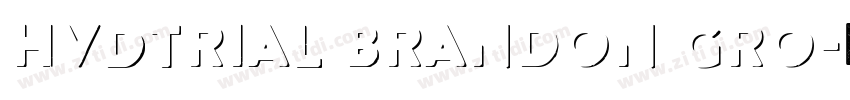 HvDTrial Brandon Gro字体转换